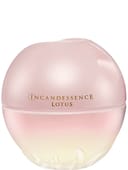 Incandessence Lotus