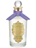 Lavandula