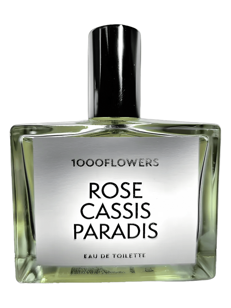 Rose Cassis Paradis by 1000 Flowers