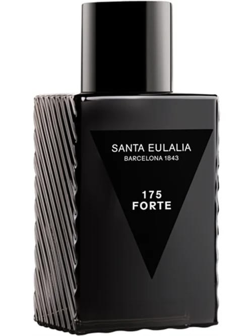 175 Forte by Santa Eulalia