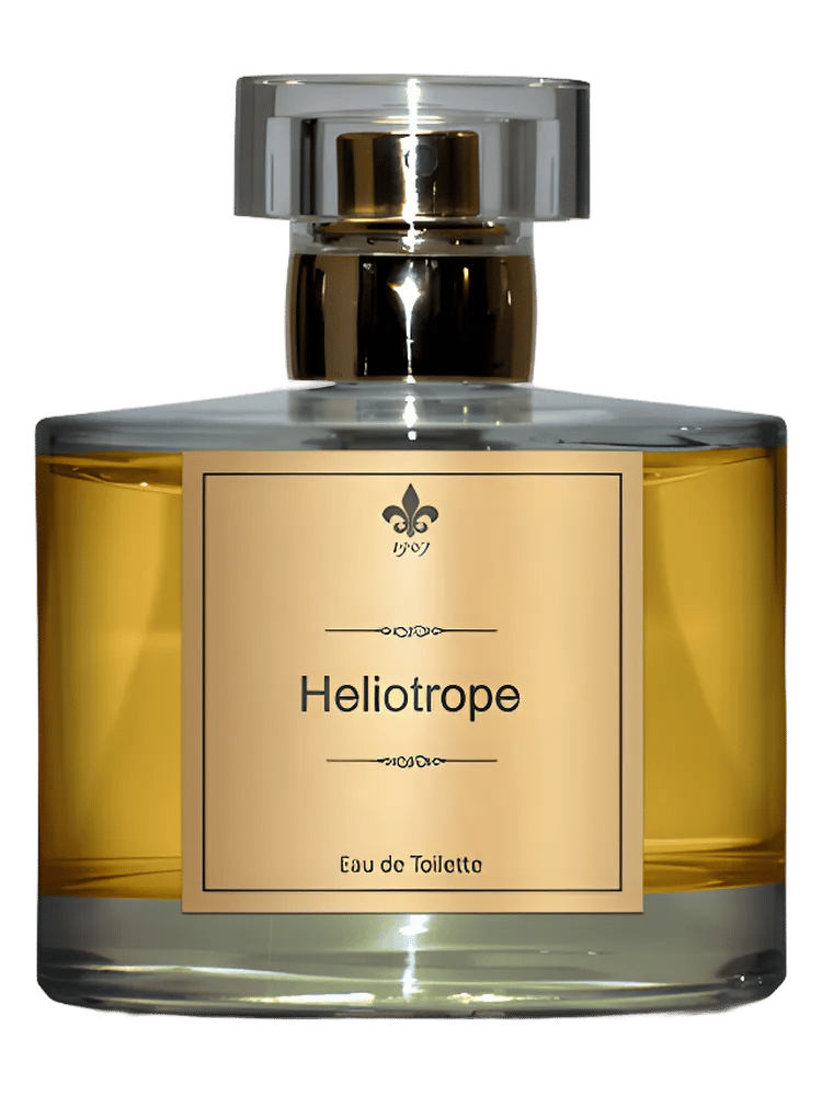 Heliotrope by 1907