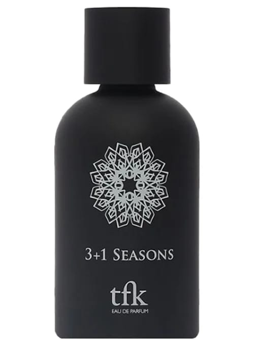 3+1 Seasons by Tfk