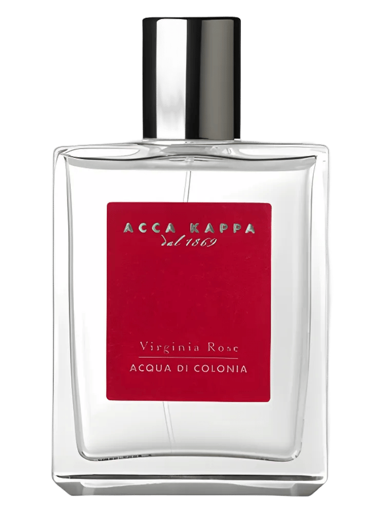 Virginia Rose by Acca Kappa