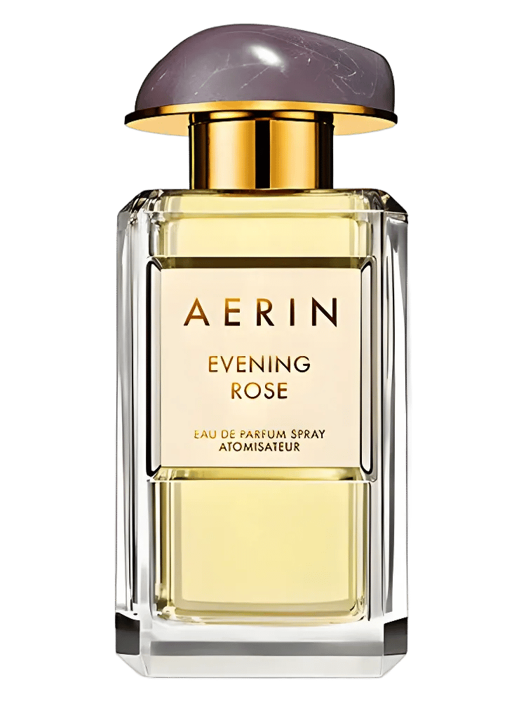 Evening Rose by Aerin