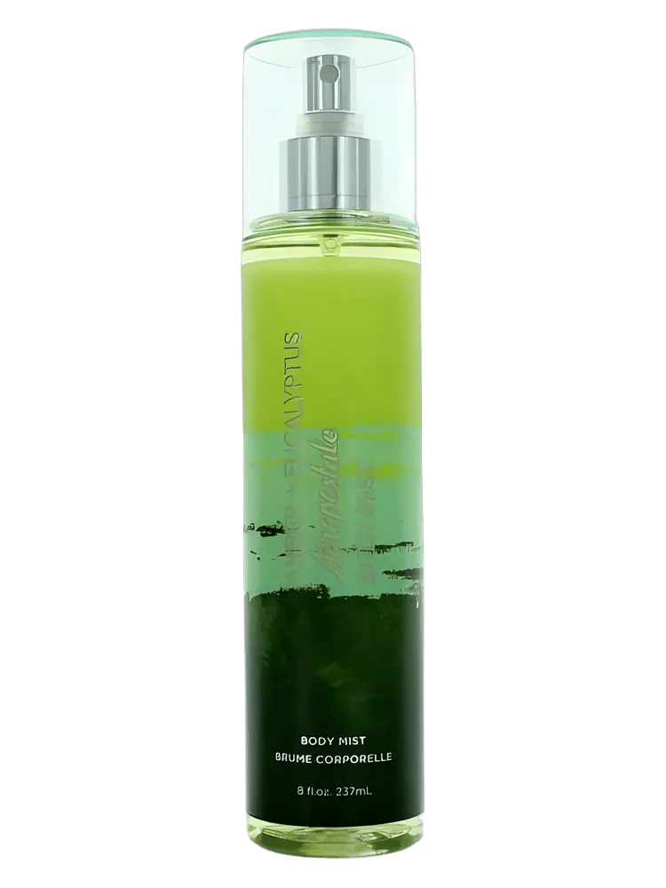 Amber Eucalyptus by Aéropostale
