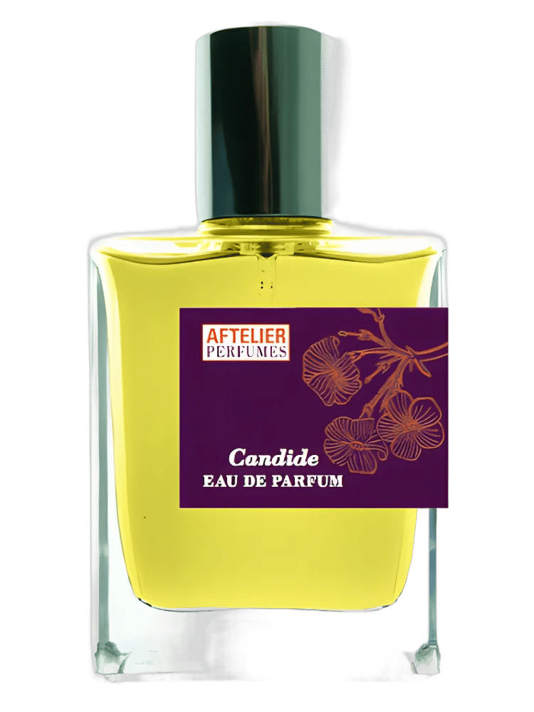 Candide by Aftelier