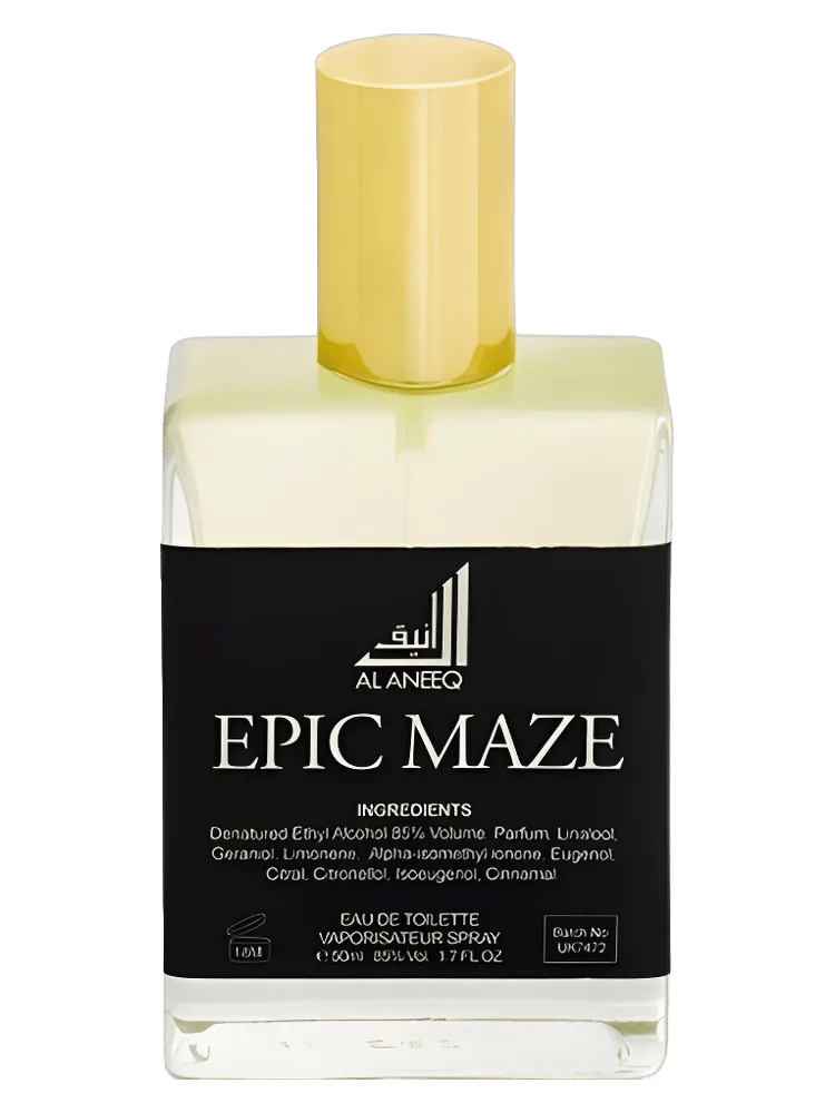 Epic Maze by Al Aneeq