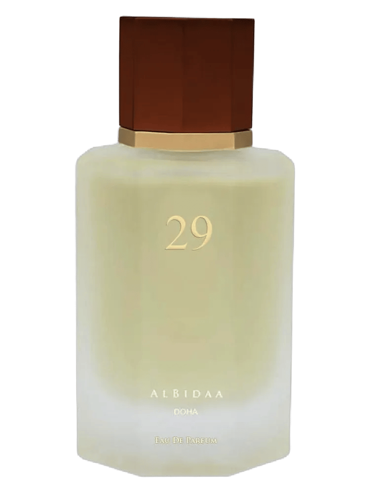 Nº29 by AlBidaa