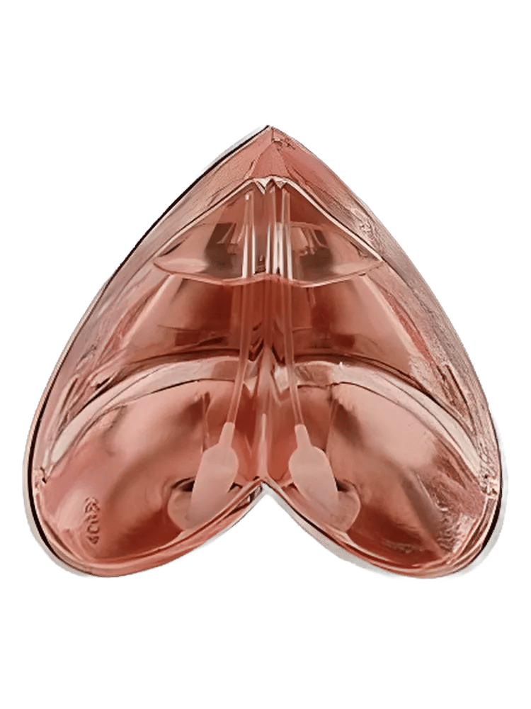 Kingdom Limited Edition by Alexander Mcqueen