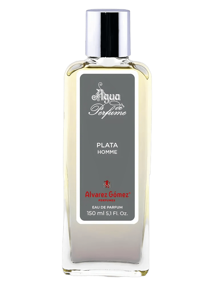 Plata Homme by Álvarez Gómez