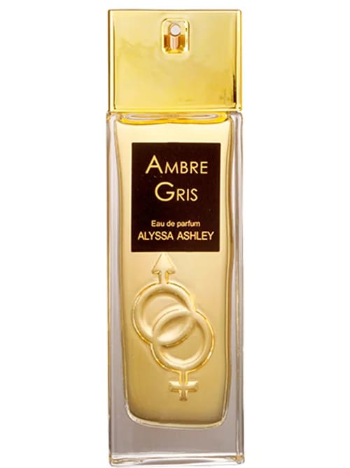 Ambre Gris by Alyssa Ashley