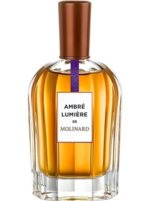 Ambré Lumière by Molinard