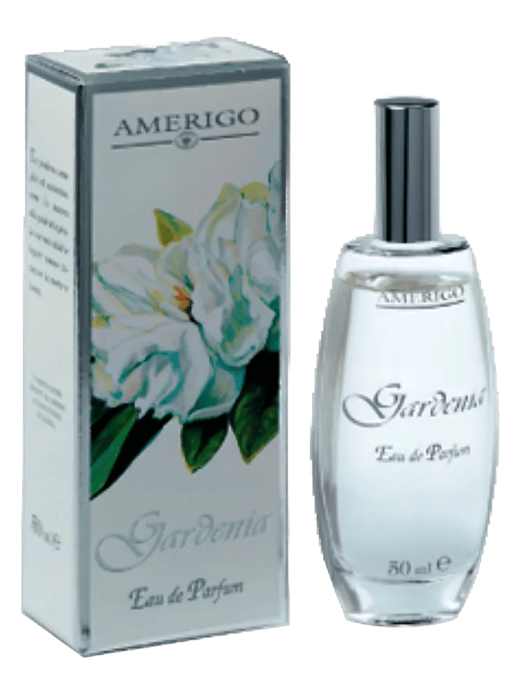 Gardenia by Amerigo