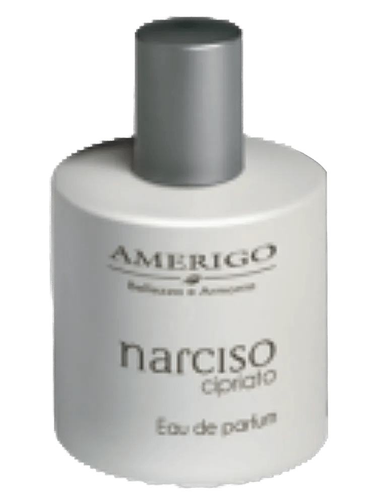 Narciso Cipriato by Amerigo