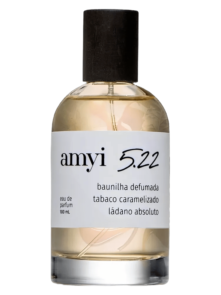 Amyi 5.22 by Amyi
