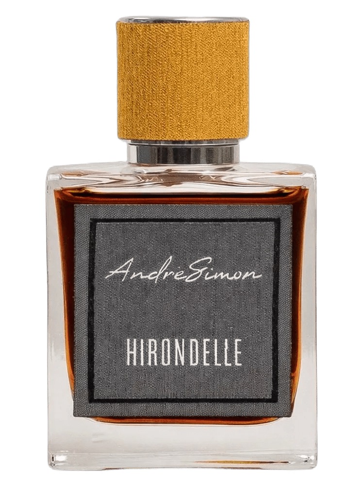 Hirondelle by AndrèSimon