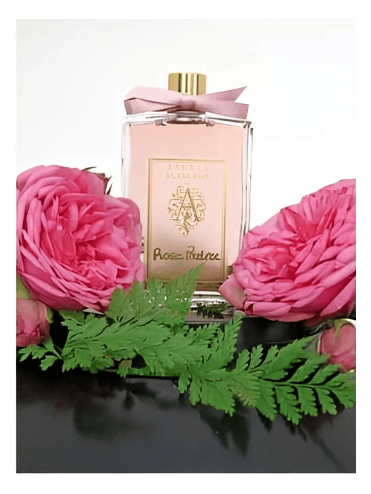 Rose Poudrée by Angela Flanders