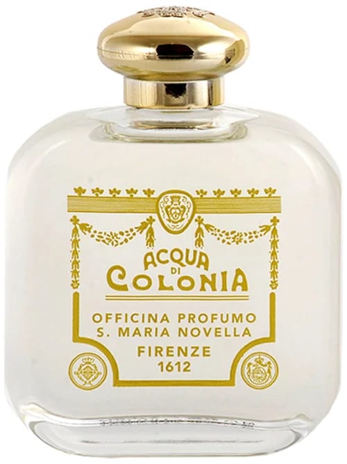 Angeli Di Firenze by Santa Maria Novella