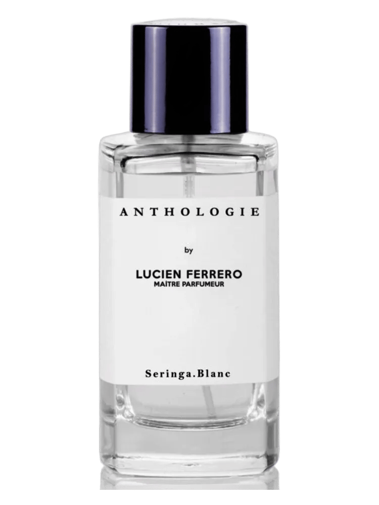 Seringa Blanc by Anthologie