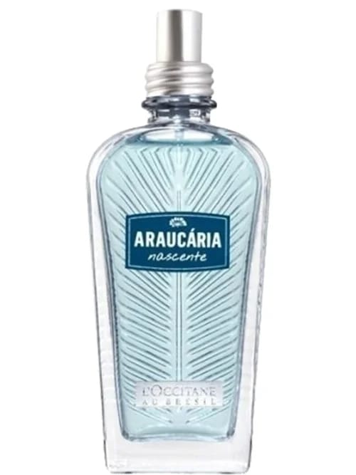 Araucária Nascente by L'Occitane