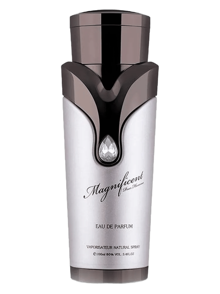 Magnificent Pour Homme by Armaf