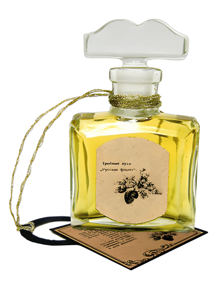 Violette Russe by Art Deco Perfumes