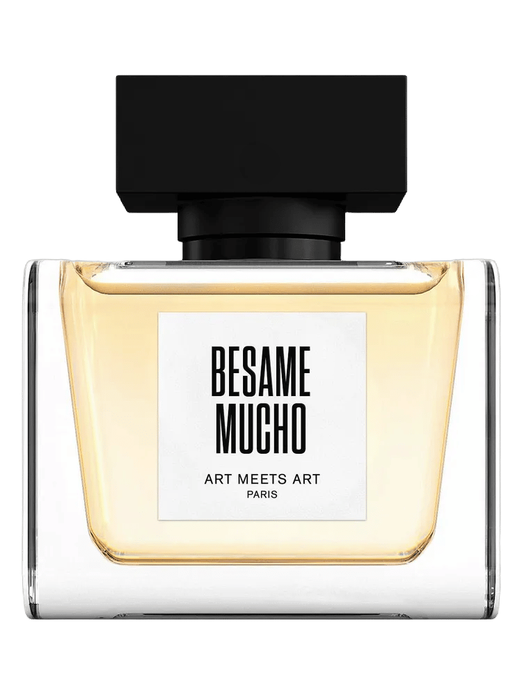 Besame Mucho by Art Meets Art