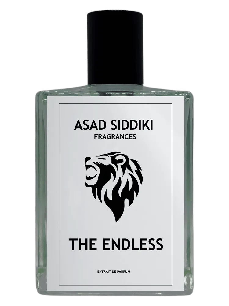 The Endless by Asad Siddiki