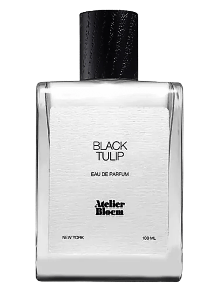 Black Tulip by Atelier Bloem