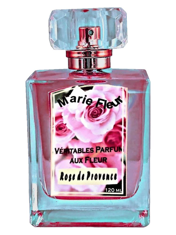 Rose de Provence by Atelier Segall & Barutti