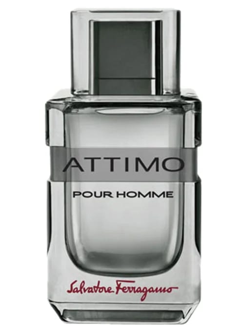 Attimo Pour Homme by Salvatore Ferragamo