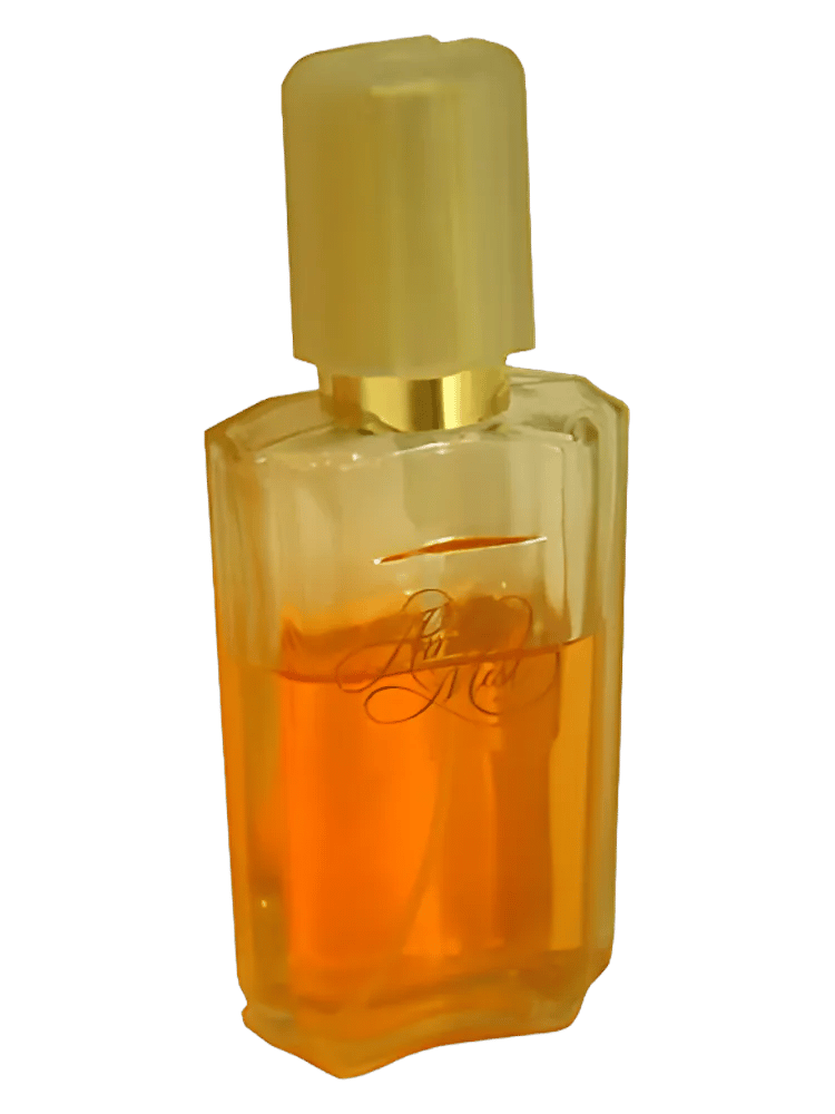 Amber Mist by Avon