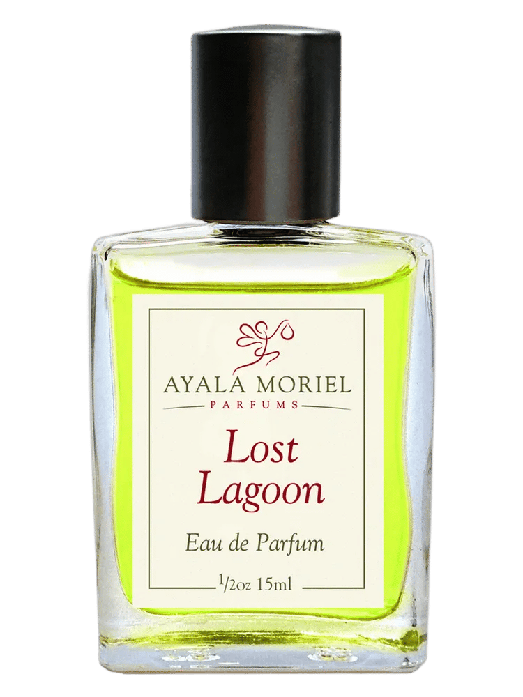 Lost Lagoon by Ayala Moriel