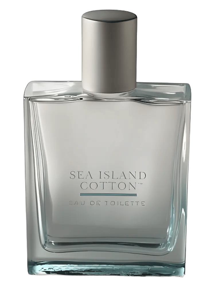 Sea Island Cotton by Bath & Body Works