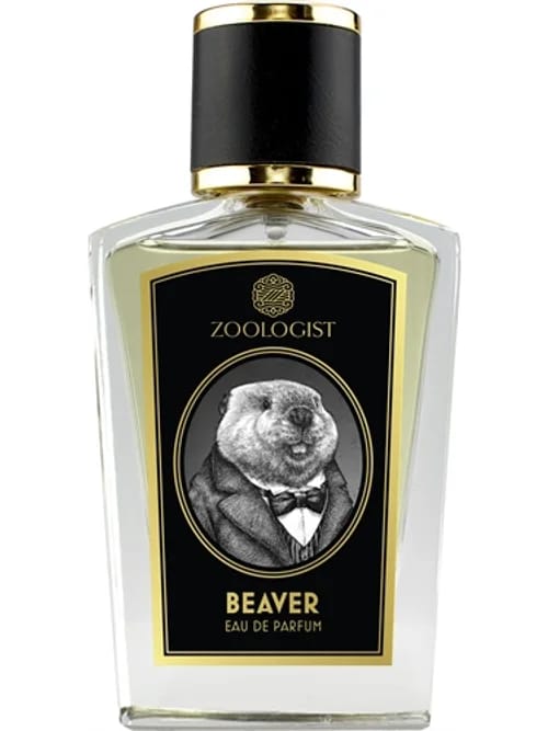 Beaver by Zoologist