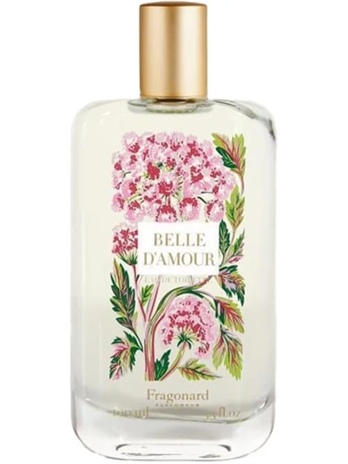Belle D'Amour by Fragonard