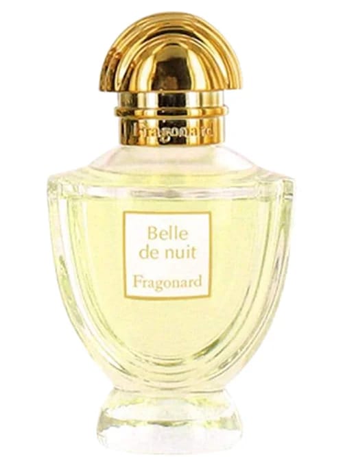 Belle De Nuit by Fragonard