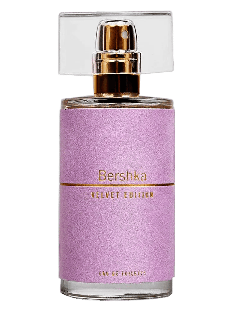 Velvet Edition by Bershka