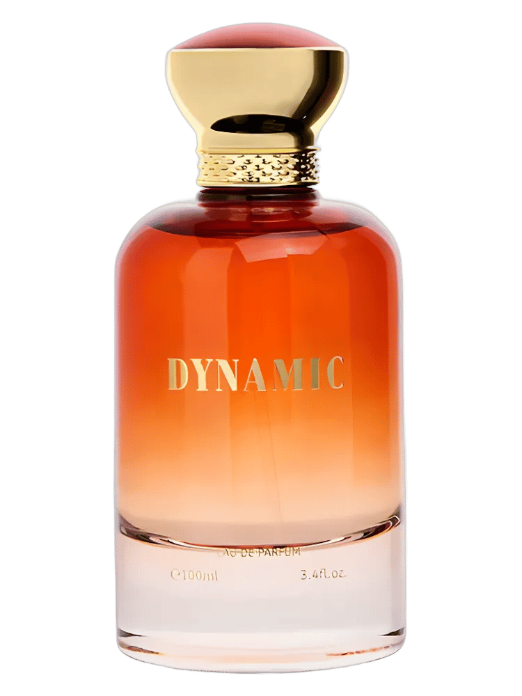 Dynamic by Bharara