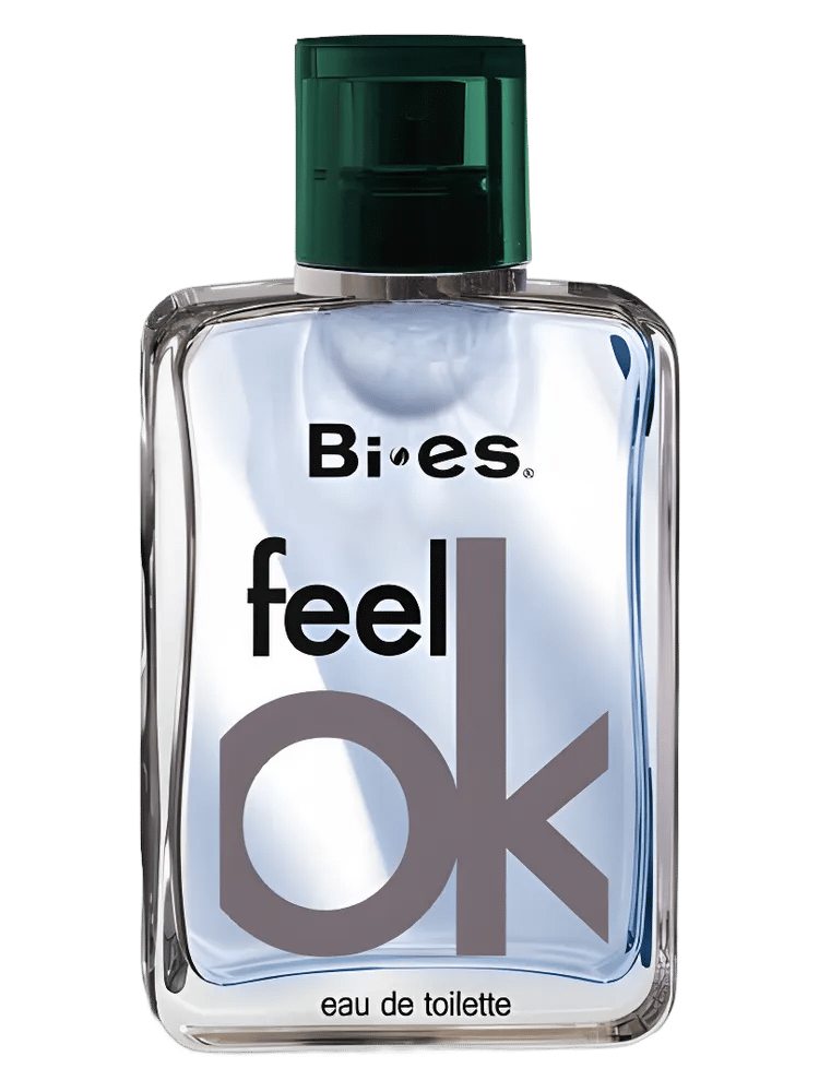 Feel Ok by Bi-es