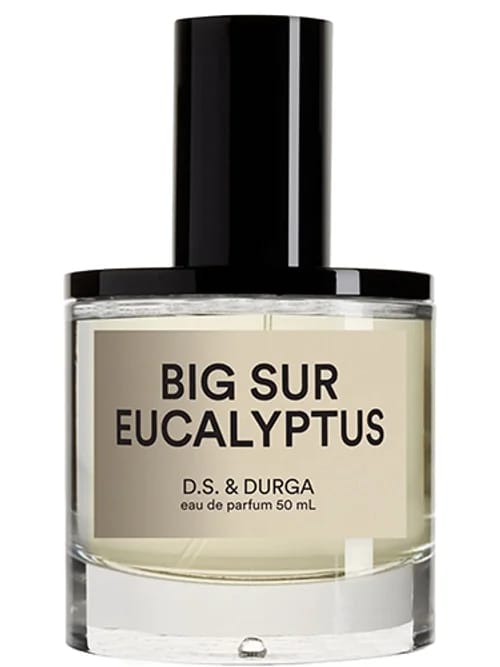Big Sur Eucalyptus by D.S. & Durga