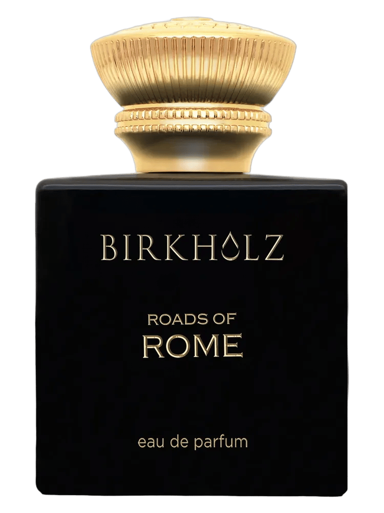 Roads Of Rome by Birkholz