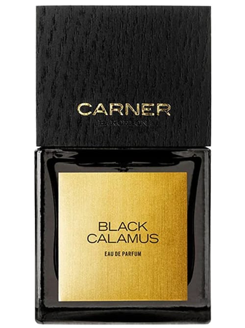 Black Calamus by Carner Barcelona