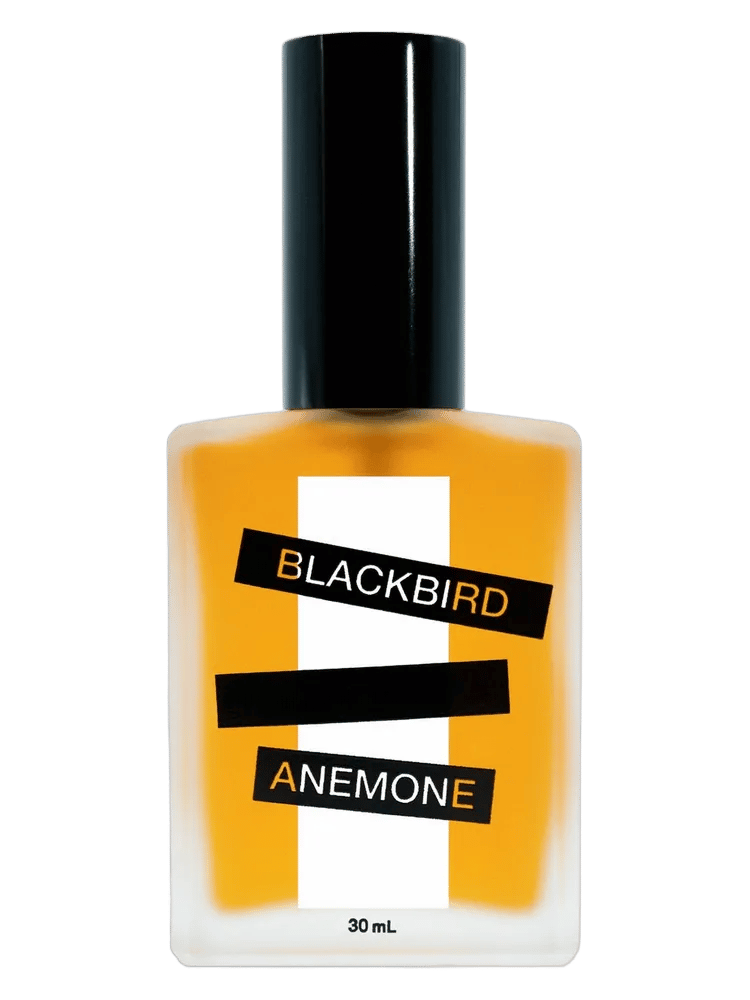 Anemone by Blackbird