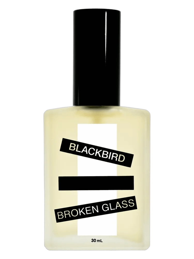 Broken Glass by Blackbird