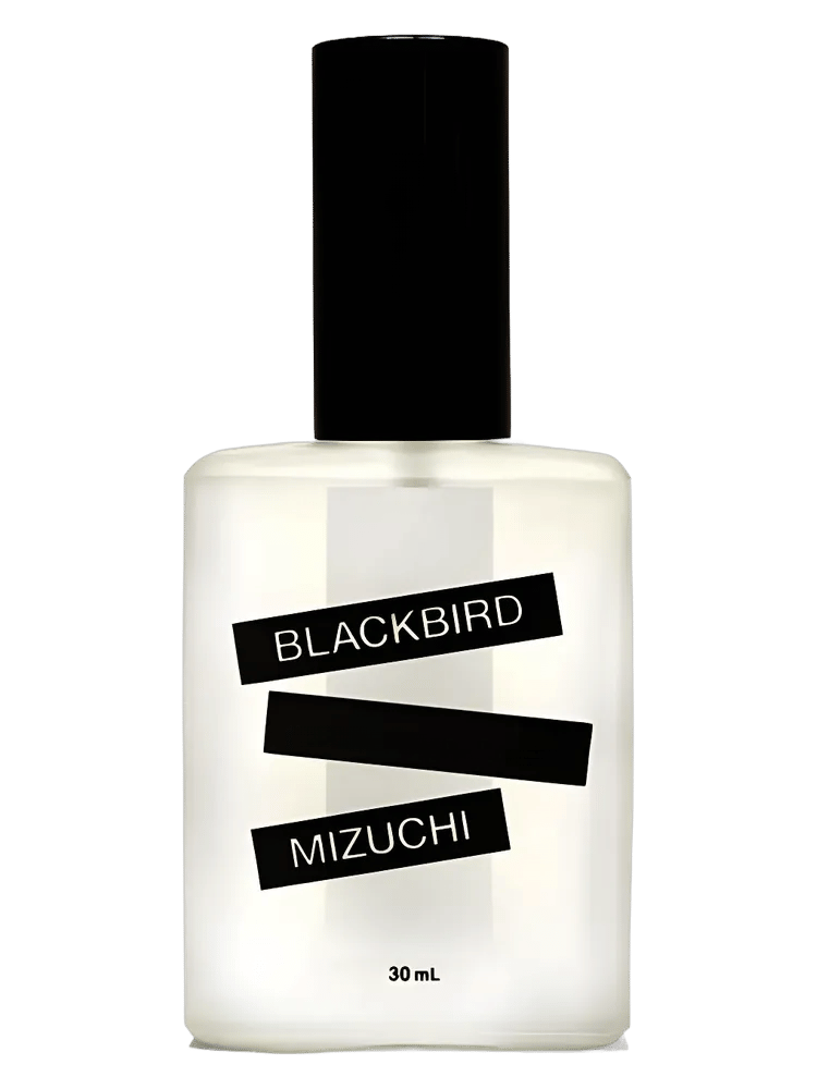 Mizuchi by Blackbird