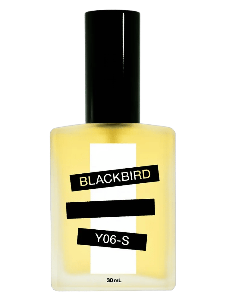 Y06-S by Blackbird