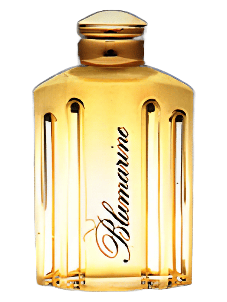 Blumarine by Blumarine
