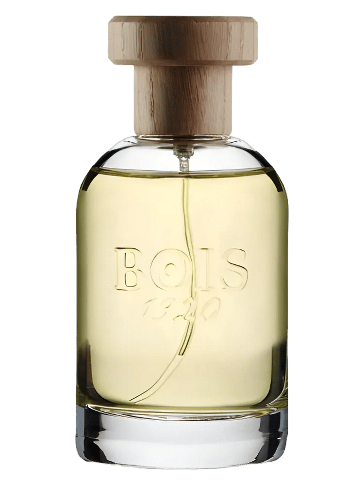 Magia by Bois 1920