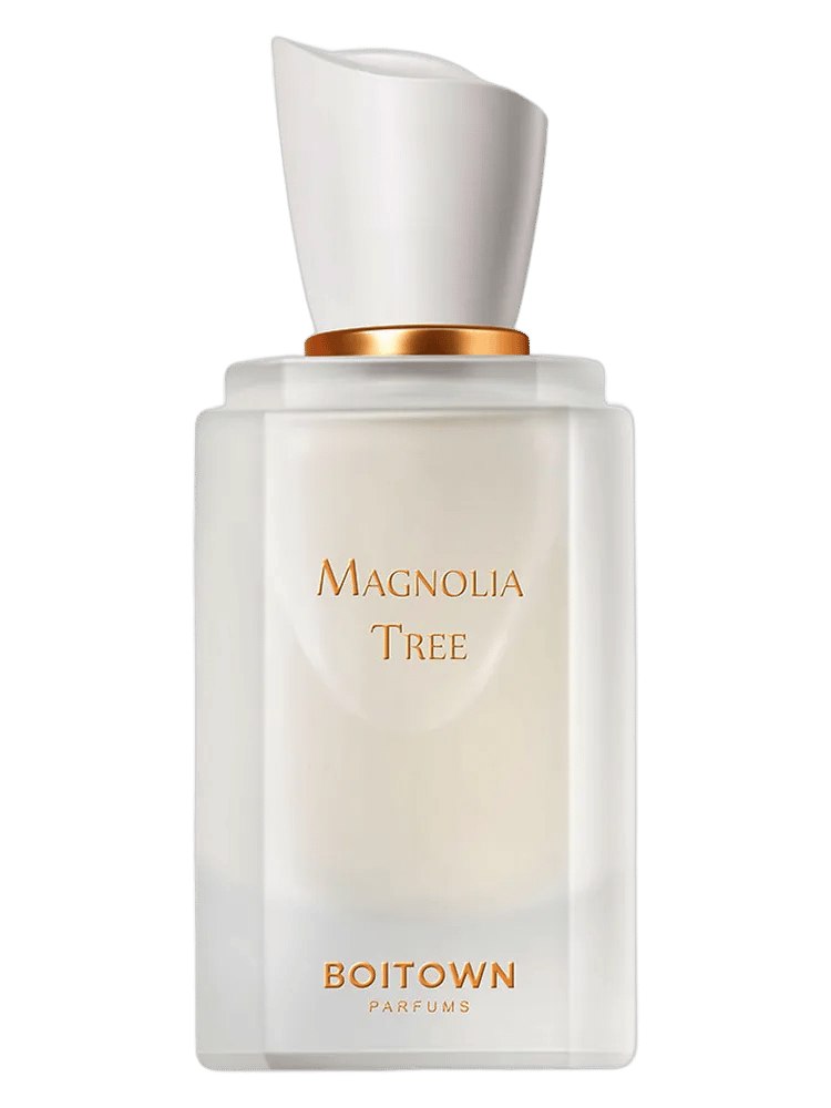 Magnolia Tree by Boitown